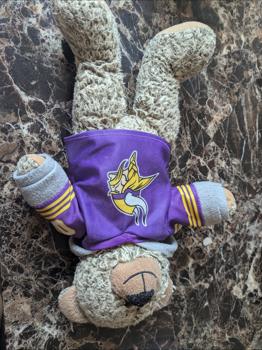 SKOL! Officially Licensed Minnesota Vikings Plush Bear